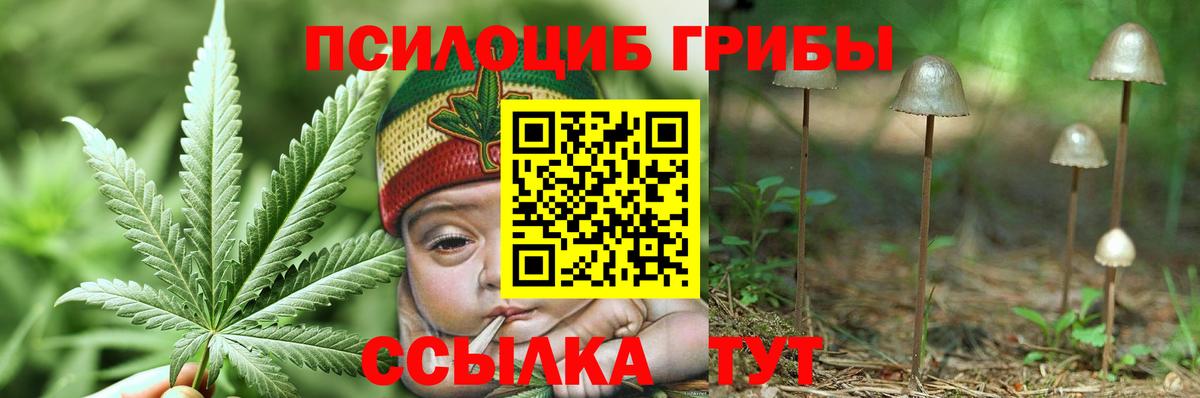Псилоцибиновые грибы мицелий Шахты