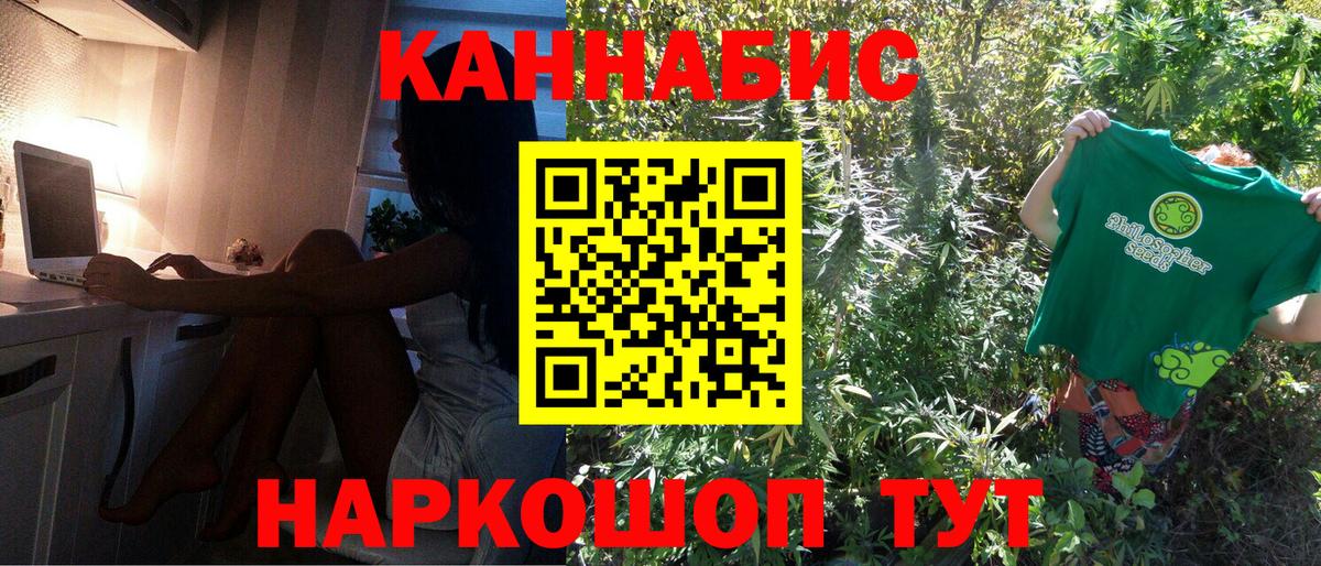 Конопля планчик Шахты